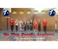 Ng Ying Kungfu Apeldoorn